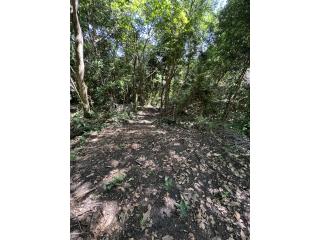 Finca 10 cuerdas