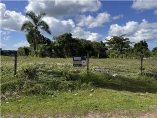 Terreno Bo. Cibao, San Sebastian