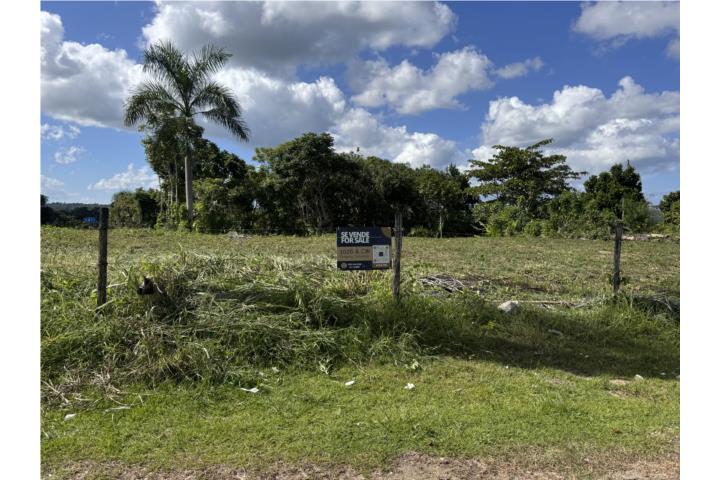 Lot in Cibao, San Sebastián