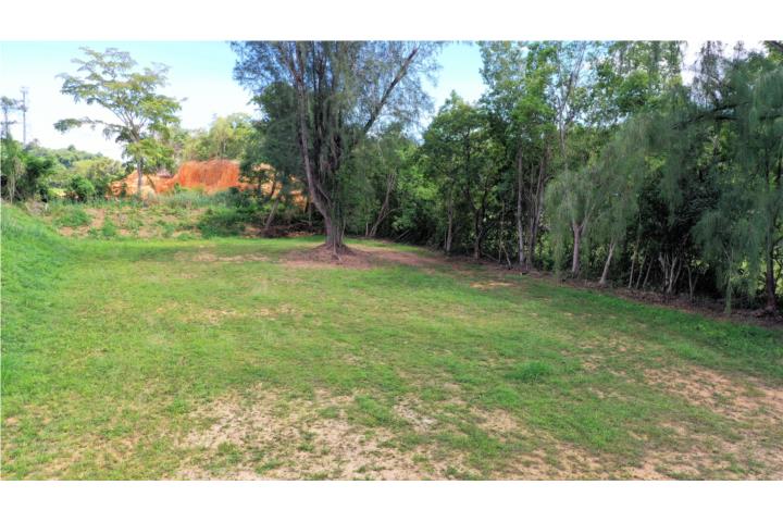 Arenalejos Puerto Rico Arecibo