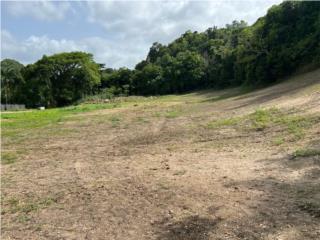 Finca de 8 cuerdas en Quebrada Arena Toa Alta