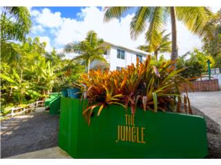 Boutique Income Property � The Jungle, Rinc�n