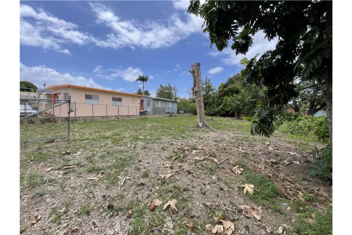 Estela (Stella) Puerto Rico Rincón