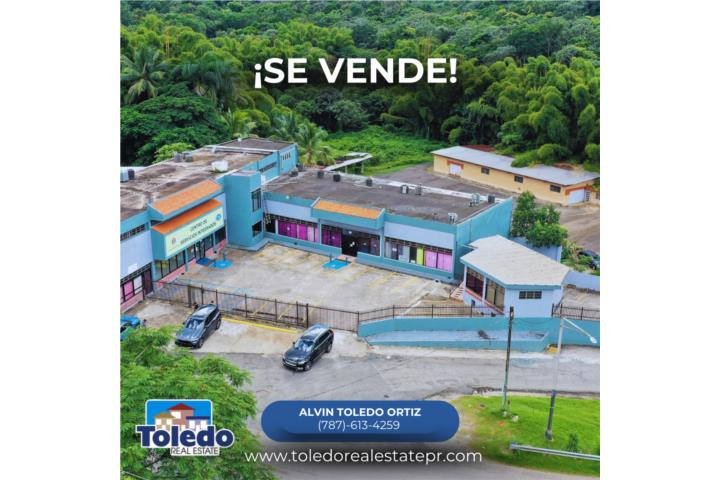 Pueblo Puerto Rico Lares