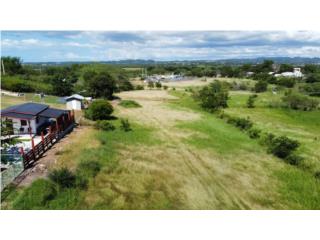 Solar Llanos Costas cerca de los Pozos de CR (OPC)