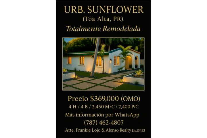 Sunflower Puerto Rico Toa Alta