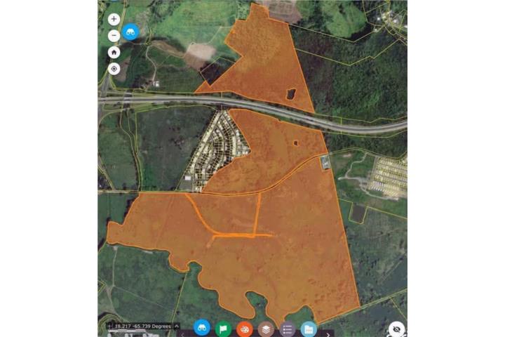 FINCA LA FORTUNA - OPORTUNIDAD ÚNICA DE INVERSIÓN EN NAGUABO ¿Busca una propiedad agrícola de gran e