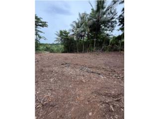 TERRENO EN TOA ALTA, Llano (Flat)