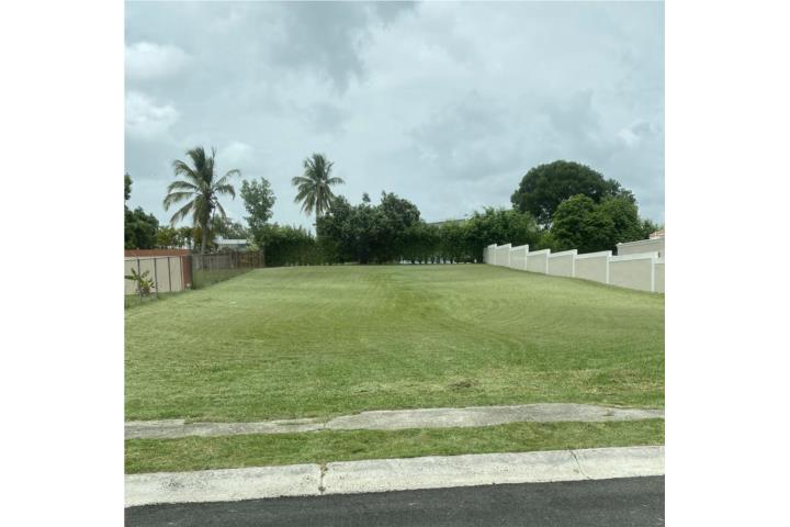 Estas buscando casa y no encuentras.