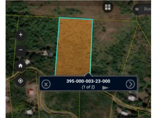 TERRENO DE 5 CUERDAS - SALINAS PR