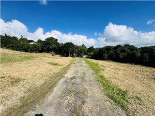 Finca �El Para�so� 