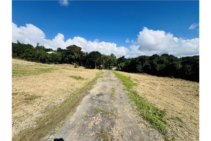 Finca “El Paraíso”