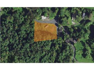 Terreno de 3,000 m� en plena Ruta Esc�nica