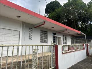 111RD Bo. Pueblo KM 2.61, Lares, PR 00669 (OPC)
