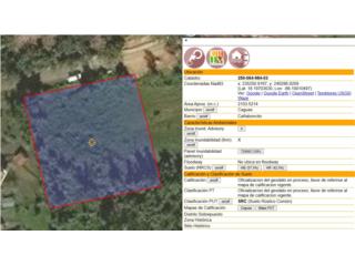 BO. CA�ABONCITO, TERRENO EN CAGUAS