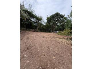 TERRENO EN TOA ALTA - LLANO/FLAT