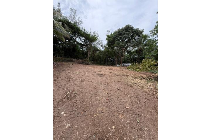 Velilla Puerto Rico Toa Alta