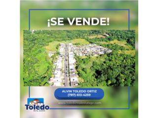 Finca de 151 Cuerdas 