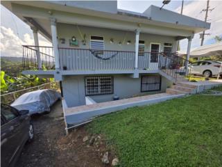 Bo. Caguanas de Utuado Centro Ceremonial Ind�gena 