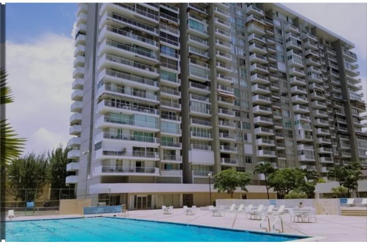 Coral Carolina - Isla Verde