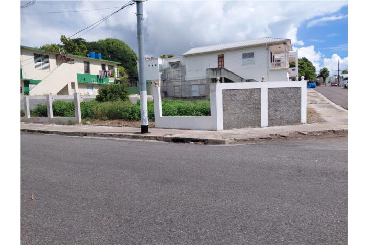 Canas Puerto Rico Ponce