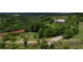Refined Caribbean Ranch- Seller Financing 
