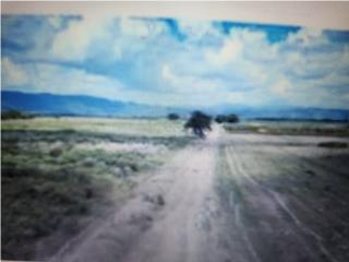 Finca de 61 Cuerdas Agrícolas Llanas