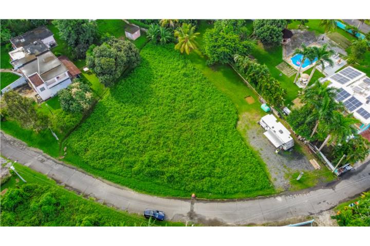 Colinas De Las Tres Río Grande