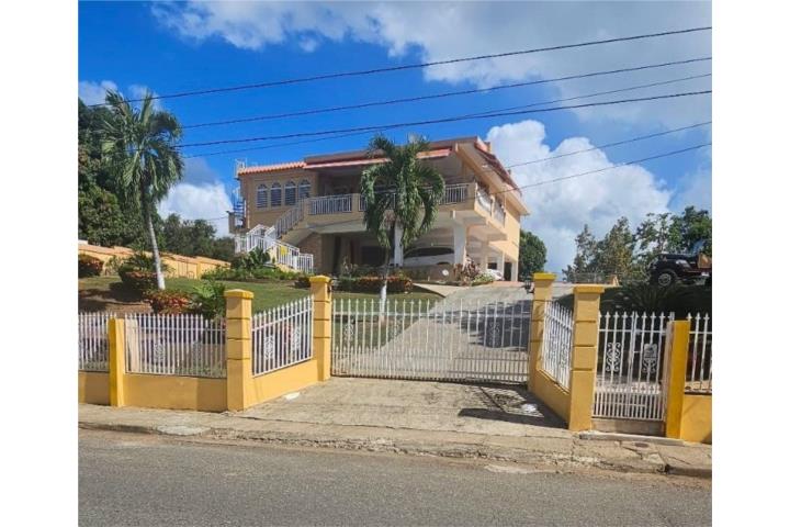 OFERTA BLACK FRIDAY.