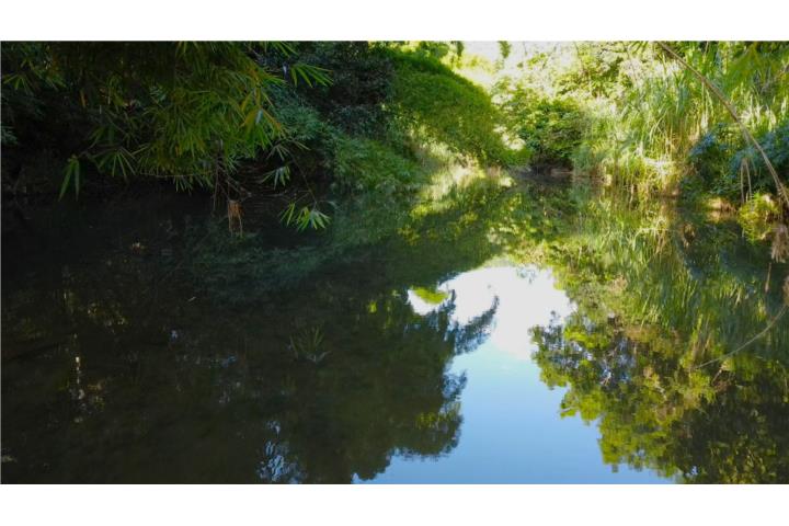 Carruzo Puerto Rico Carolina