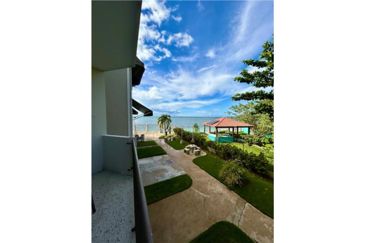 Joyuda Puerto Rico Cabo Rojo