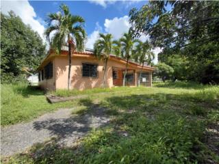 Bo Los Llanos, Coamo 