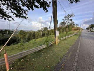 Finca de 4.9832 cuerdas en Espino Ceiba