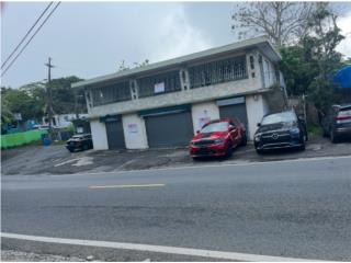 Galeria