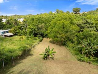 Land just 3 minutes from downtown Rincon