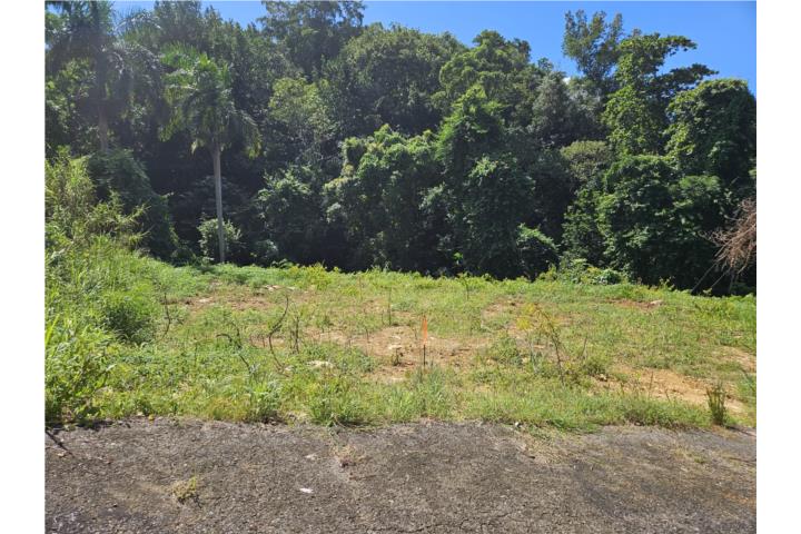 Victoria Puerto Rico Aguadilla