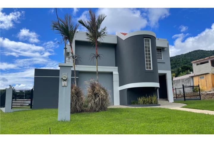 Maizales Puerto Rico Naguabo