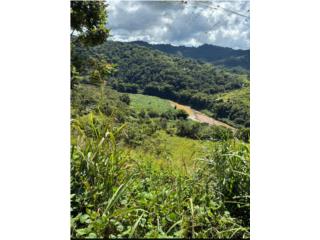  HERMOSA FINCA, SE ECUCHA OFERTA RAZONABLE