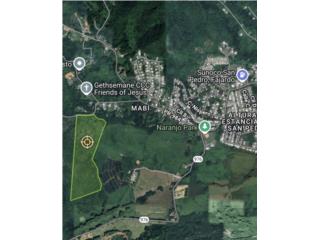 40 cdas. Agricolas llanas