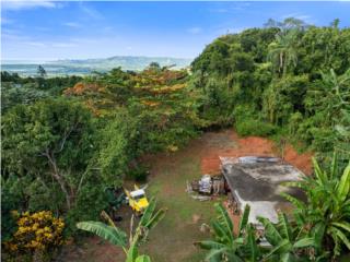 A Mountain lot w/ Ocean view