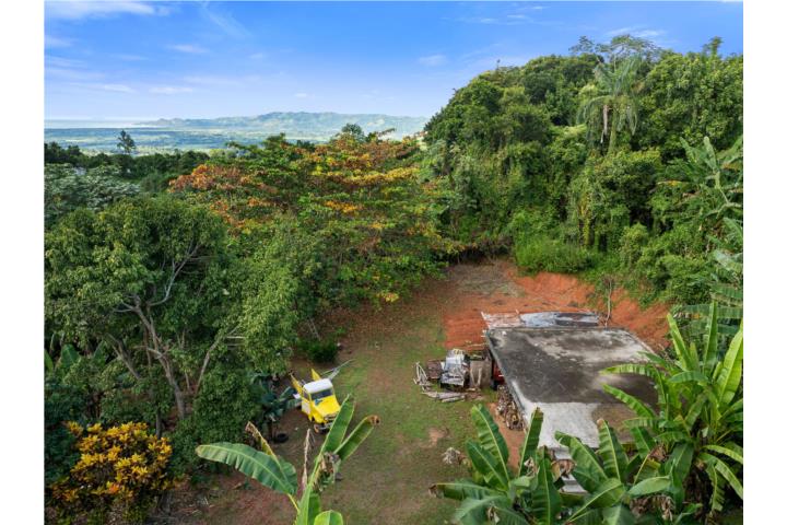 Leguizamo Puerto Rico Mayagüez