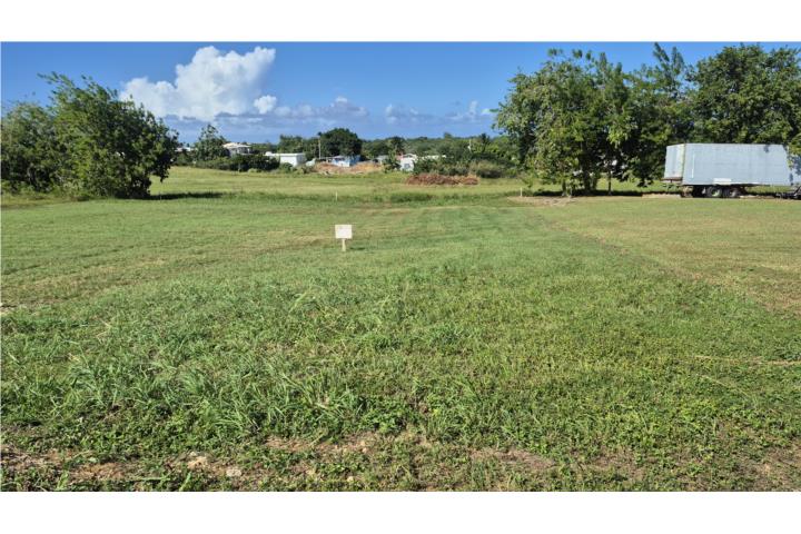 Jobos Puerto Rico Isabela