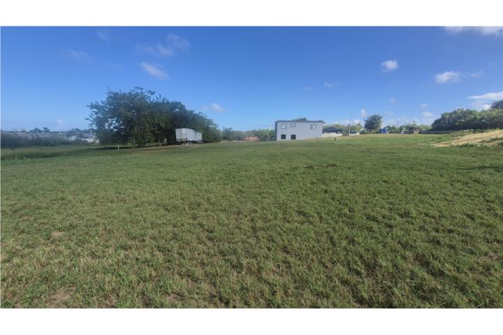 Jobos Puerto Rico Isabela