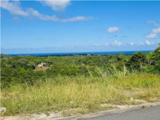 Great lot with mountain and ocean views 