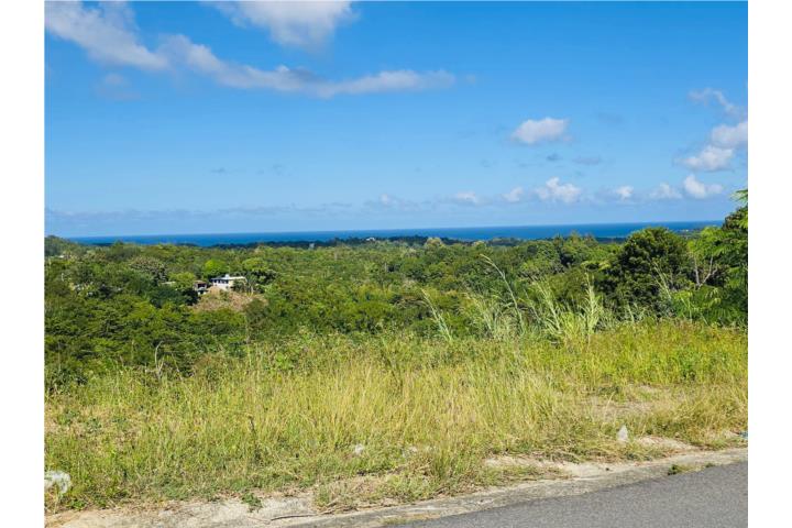 Cruces Puerto Rico Aguada