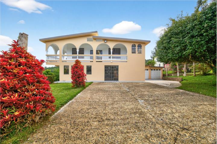 Beatriz Puerto Rico Cayey