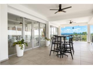 Multi-Use Commercial Property on PR-115 