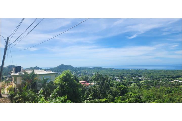 Carr. 412, Km. 4.8, Calle Pascual Nieves, Lote 2