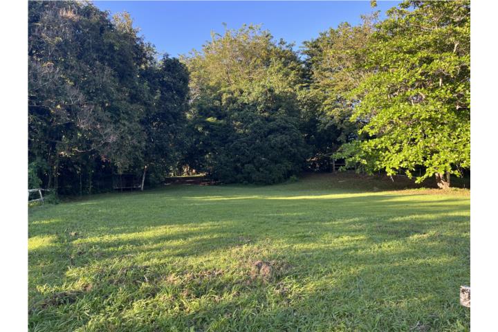 EXCELENTE PROPIEDAD PARA DESARROLLAR, FINCA TOTALMENTE LLANA DE APROX.