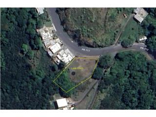 SOLAR LLANO DE 1,208 METROS ALGARROBO 